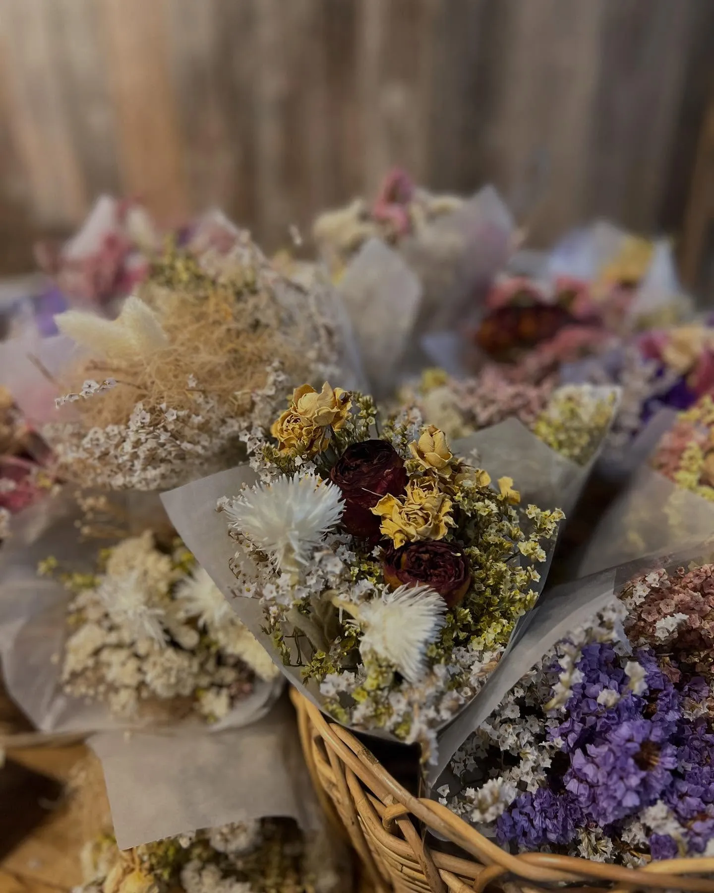 canonのドライフラワー達