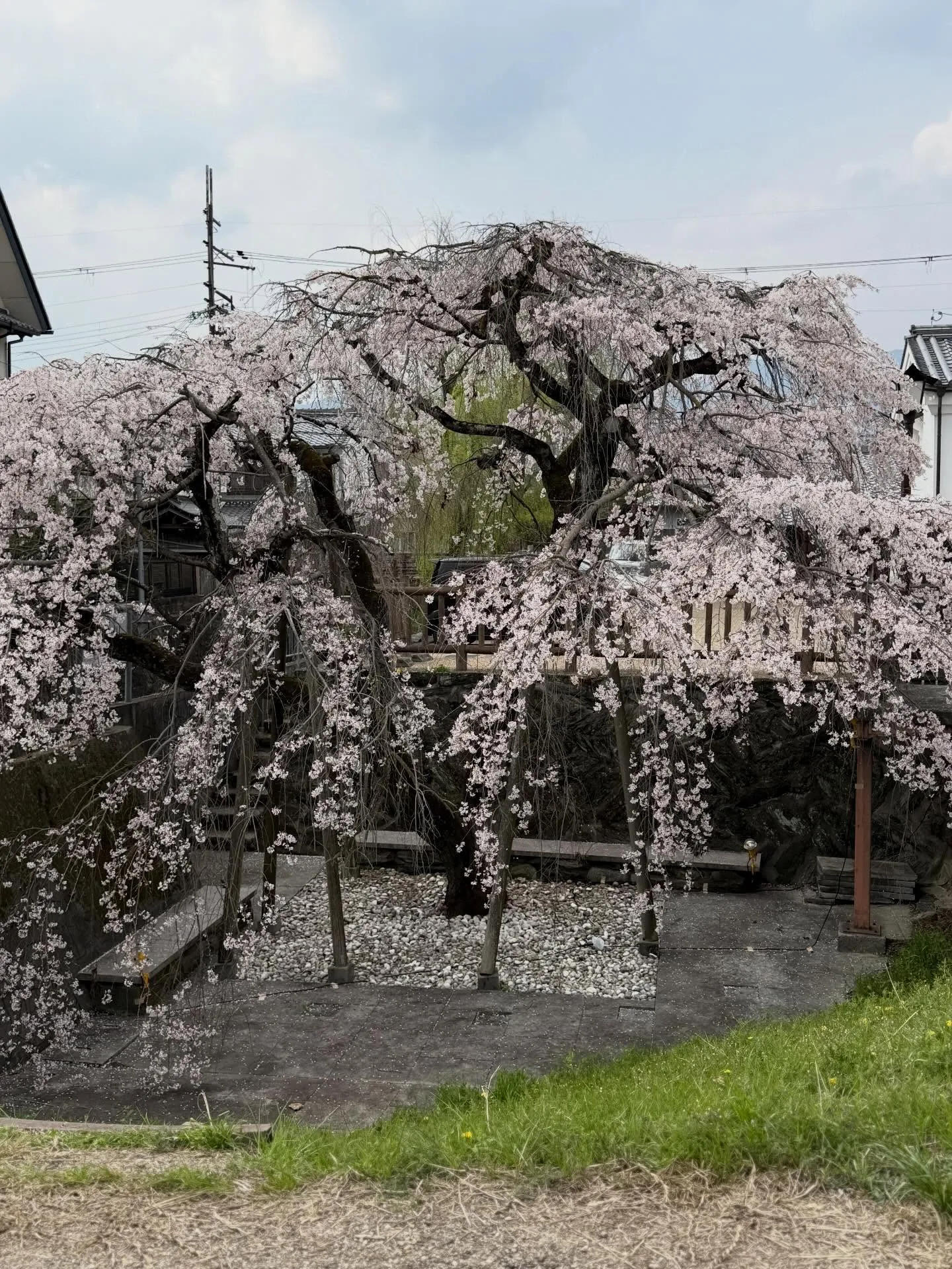 お酒とスイーツ