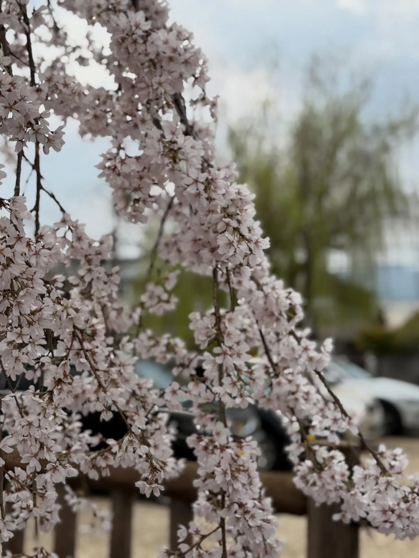 お酒とスイーツ