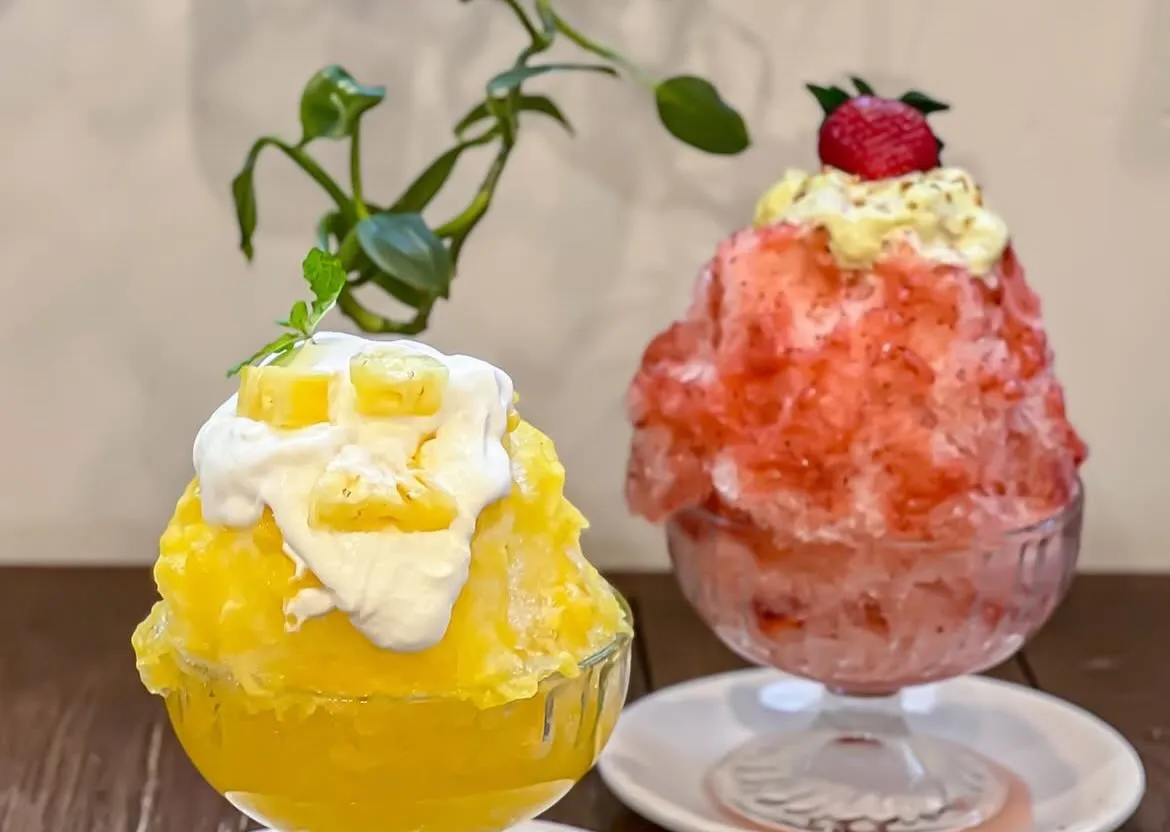 今年も始まります