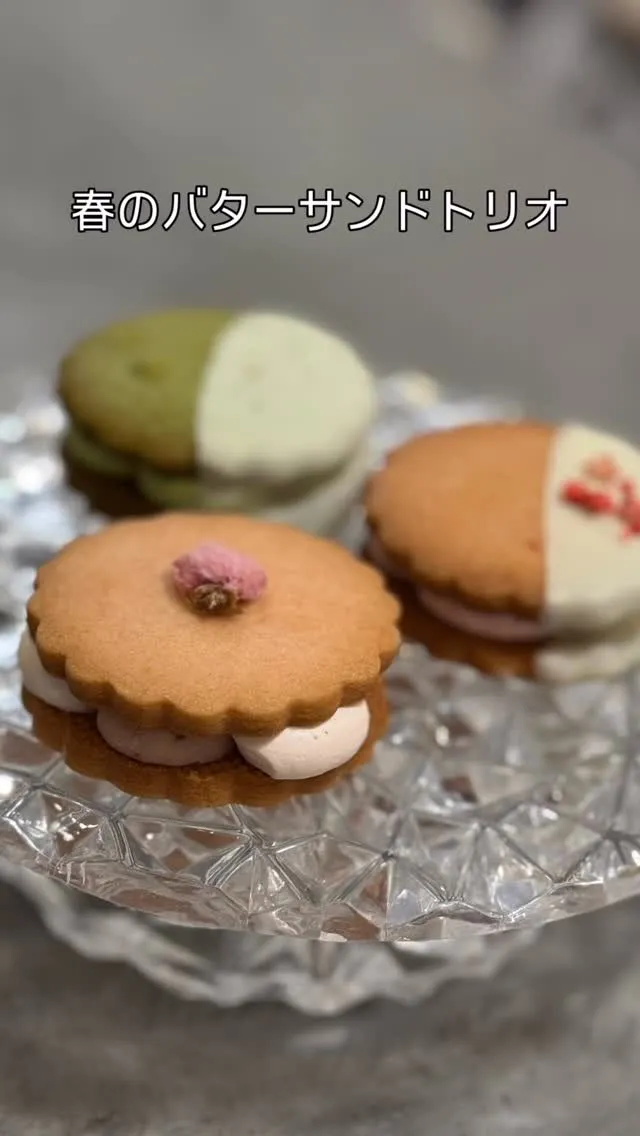 canonのおすすめはどれですか？